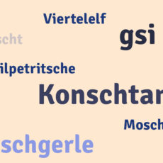Alemannisch – der Dialekt am Bodensee Alemannisch – der Dialekt am Bodensee