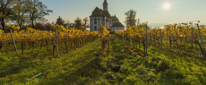 <span class="entry-title-primary">Birnau</span> <span class="entry-subtitle">Barockjuwel über dem Bodensee</span> birnau bodensee
