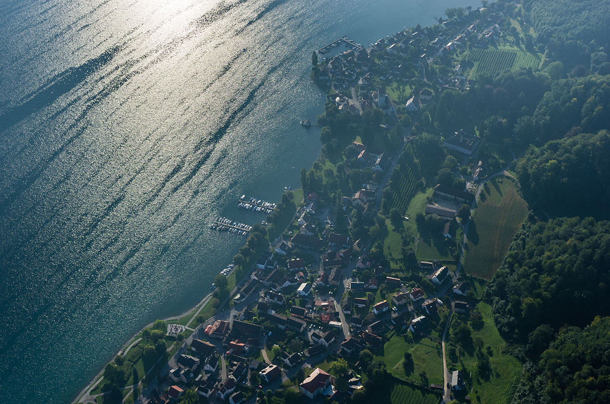 Bodman MeinBodensee