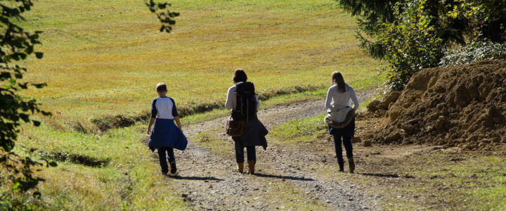 wandern bodensee erleben